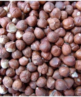 Hazelnoot bruin naturel 3000 gram
