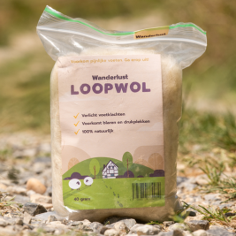 Loopwol 40 gr Wanderlust