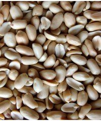 Pinda&#039;s - gezouten 250 gram