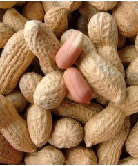 Doppinda&#039;s (apennootjes) 225 gram