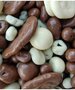 Gemengde chocolade de luxe 200 gram
