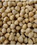 Hazelnoot wit naturel 100 gram