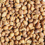 Honey &amp; Salt geroosterde pinda&quot;s 3 kg