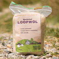 Loopwol 40 gr Wanderlust